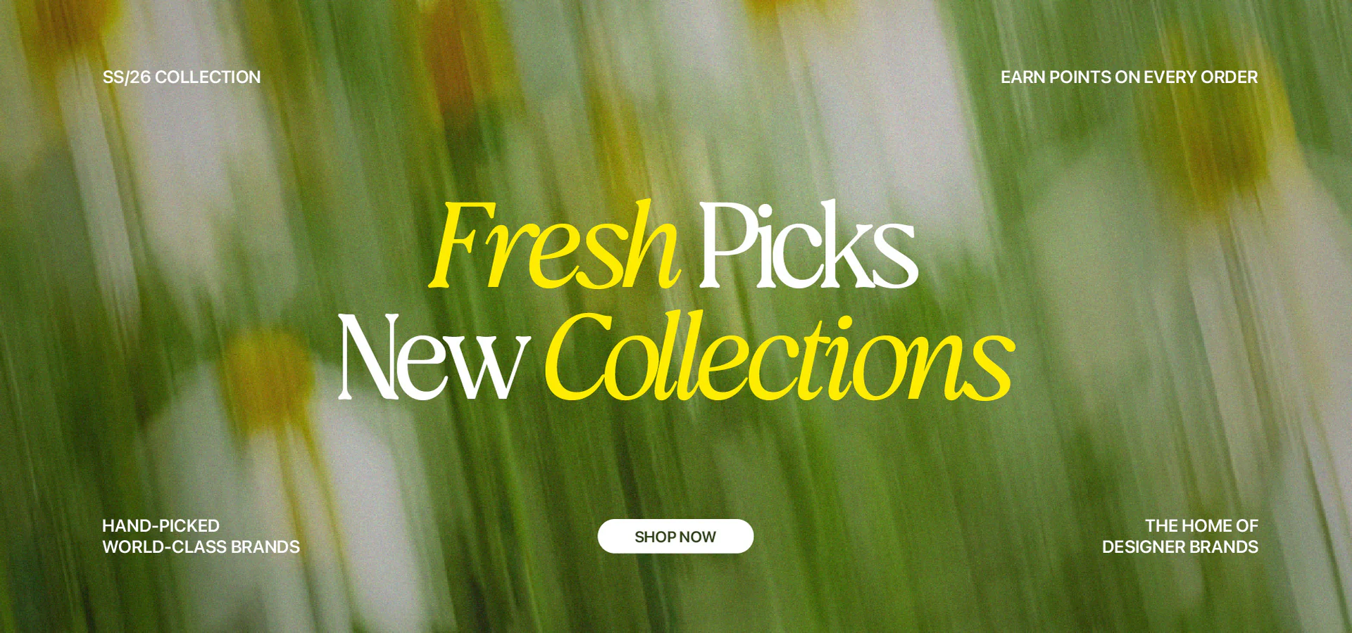 Timeless Style, Curated for You